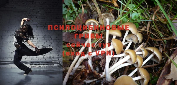 твердый Балабаново